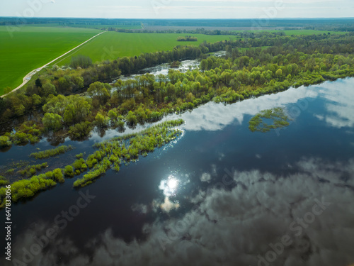 Aerial view of the winding river and blooming fields. The river flows along agricultural fields and forests. Flying a drone over fields, forests and rivers. Natural landscape. © Pokoman
