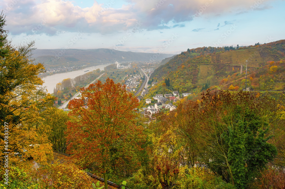 A panoramic view from Marksburg Castle, showcasing the stunning Rhine Valley in Germany. The autumn colors add a warm touch to the serene landscape