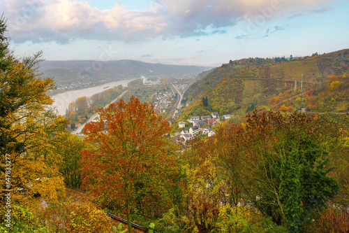 A panoramic view from Marksburg Castle  showcasing the stunning Rhine Valley in Germany. The autumn colors add a warm touch to the serene landscape