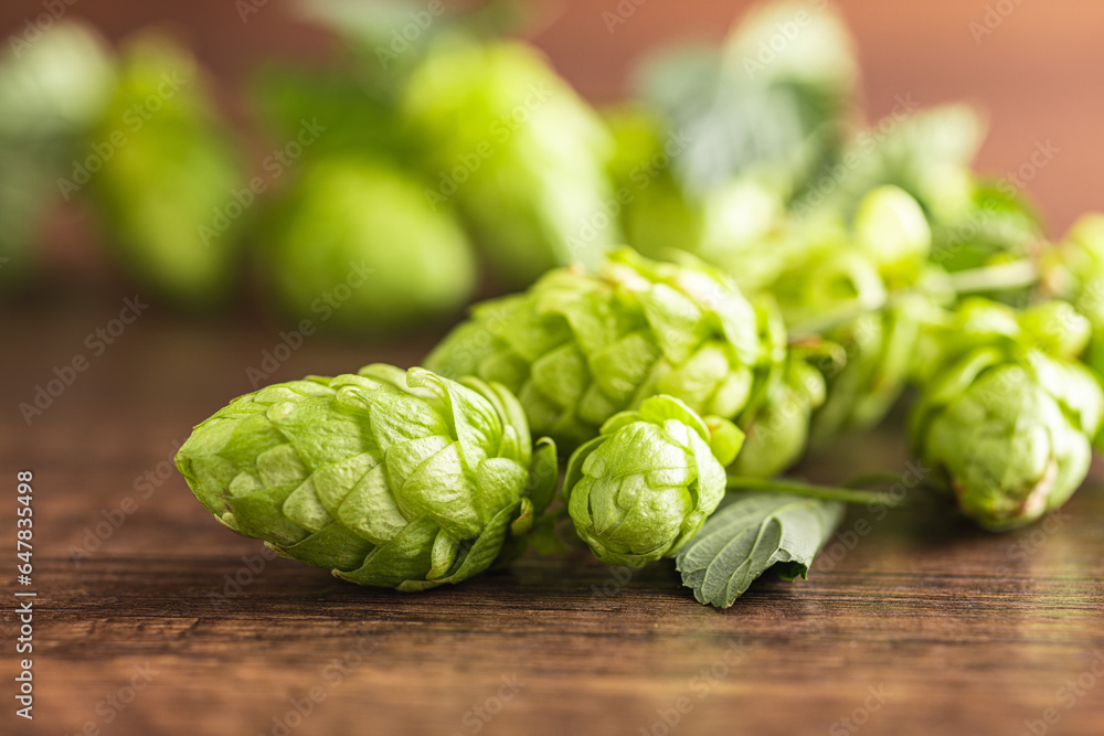 Green hops crop on wooden table. Green hops crop on wooden table.