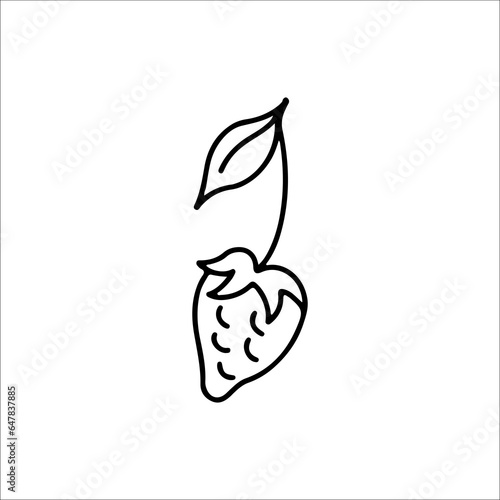 vector illustration of strawberry fruit outline