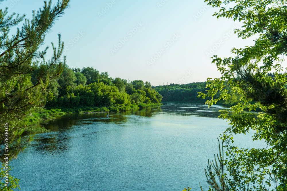 View of the lake among the lush green trees in the forest. Trees grow along the river and are reflected in the clear water. Natural landscape in the forest. River in the forest. uncontaminated nature View of the lake among the lush green trees in the forest. Trees grow along the river and are reflected in the clear water. Natural landscape in the forest. River in the forest. uncontaminated nature