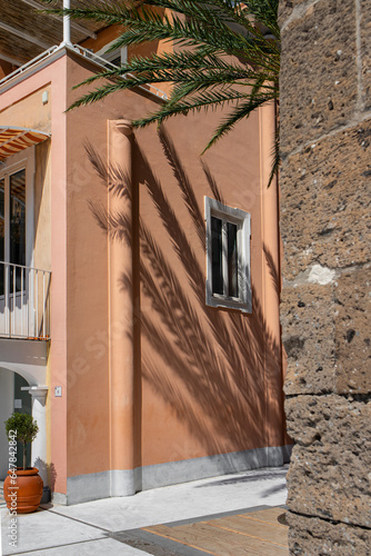 the shadow of a palm tree on the wall of a nice coloured house in Positano