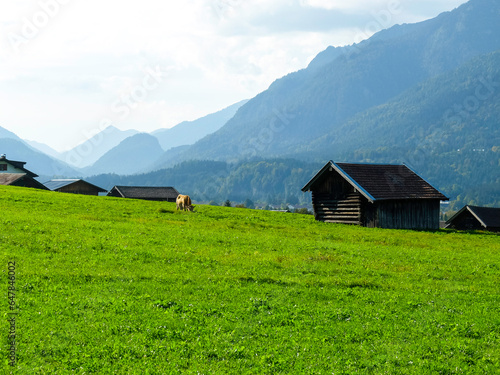 A wooden shack for storing hay in the mountains around Garmisch Partenkirchen. A cow grazes on the meadow around the hut. The sky is overcast, in the background the Alps, mountains.
