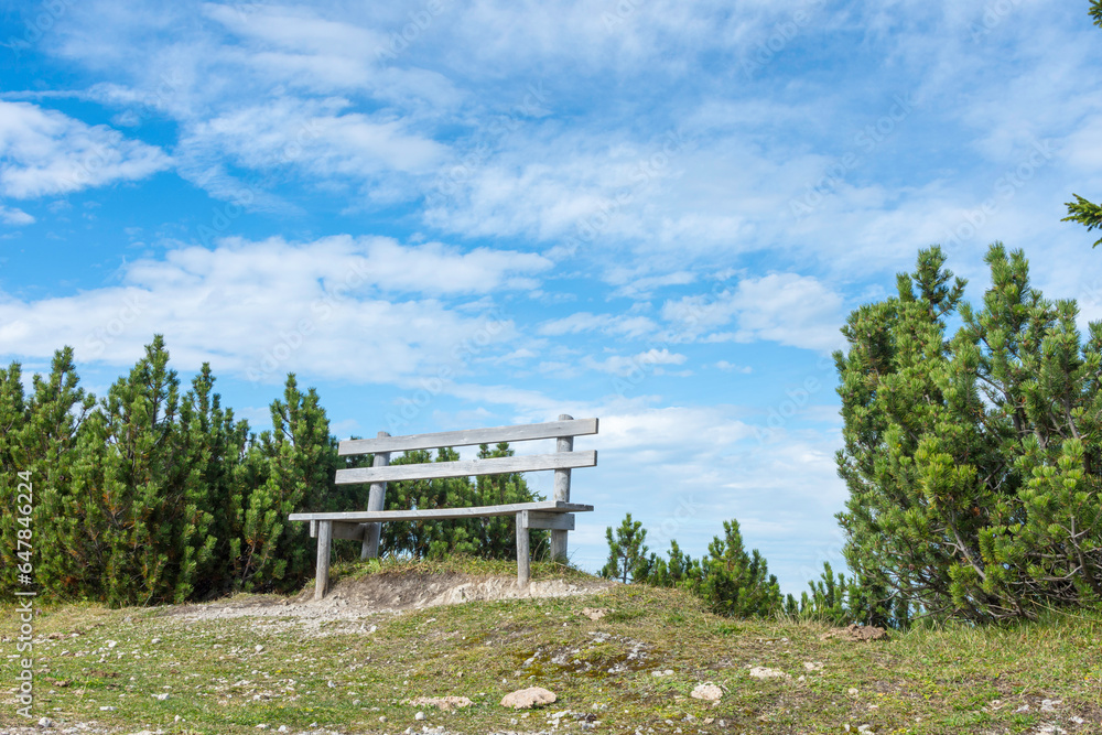a lonely bench between low pines, Pinus cembra, affected by the harsh weather or climate. The simple bench is made of wood and invites you to linger and enjoy the view. The sky is blue and white.