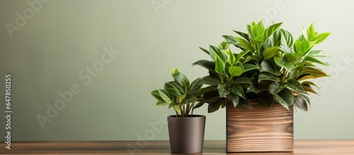 Home office setup text on cubes plant in pot on wood backdrop