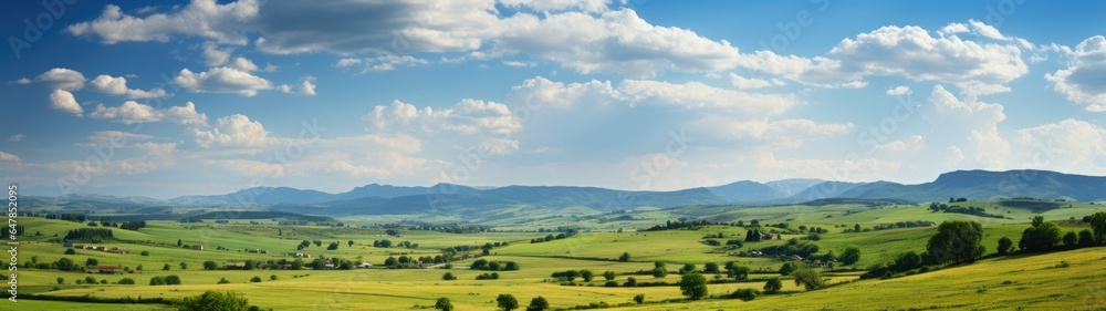Expansive lens, countryside springtime, fields of green, colorful wildflowers, roll seamlessly into the horizon, panorama, lush green meadows, dotted with trees, clear blue sky, fluffy white clouds