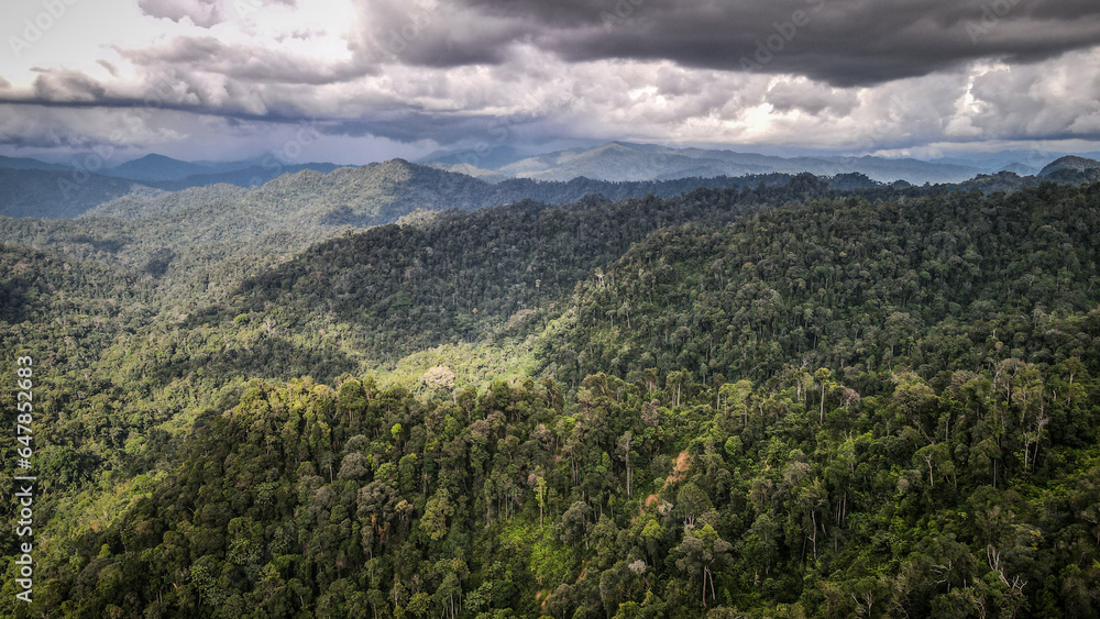 The aerial view of Royal Belum State Park in Malaysia The aerial view of Royal Belum State Park in Malaysia