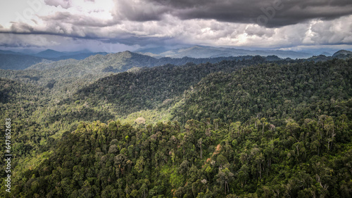 Fototapeta Naklejka Na Ścianę i Meble -  The aerial view of Royal Belum State Park in Malaysia