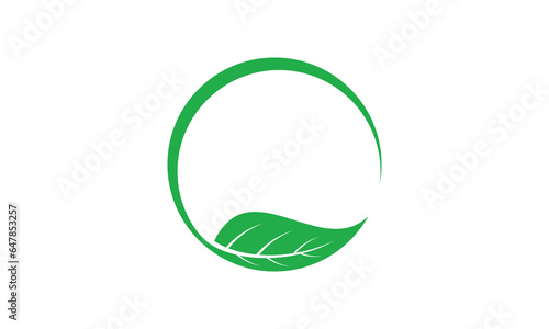 Leaf circle abstract logo