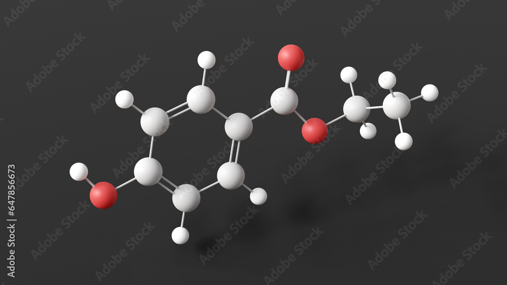 ethylparaben molecule, molecular structure, food additive e214, ball and stick 3d model, structural chemical formula with colored atoms - obrazy, fototapety, plakaty 