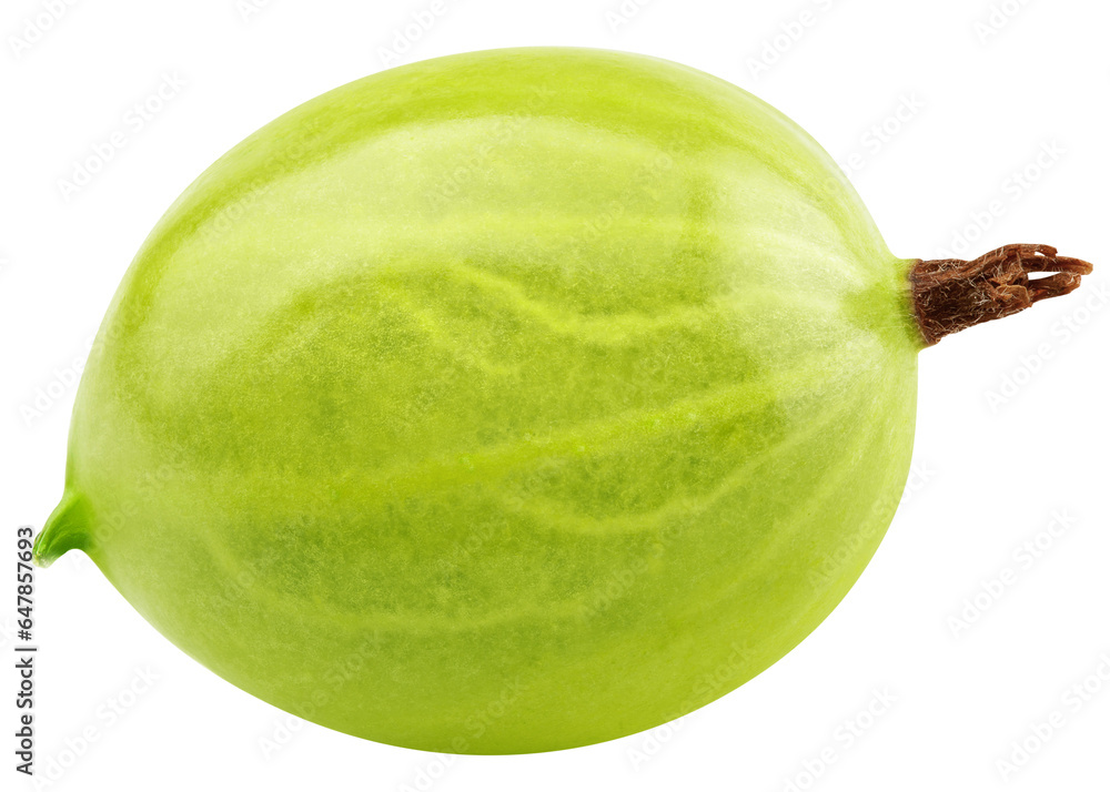 Gooseberry isolated on white background, full depth of field Gooseberry isolated on white background, full depth of field
