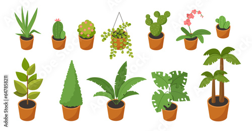 Isometric plants vector set