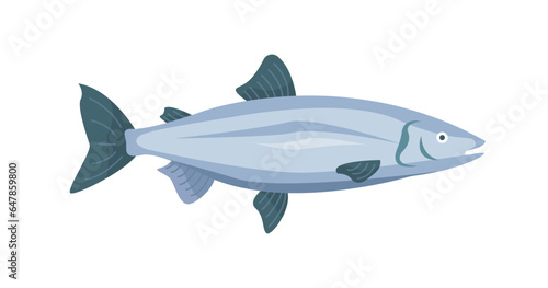 Seafood fish vector concept