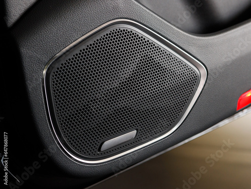 Sound speaker in a modern car door panel. Close up car speaker on car door panel