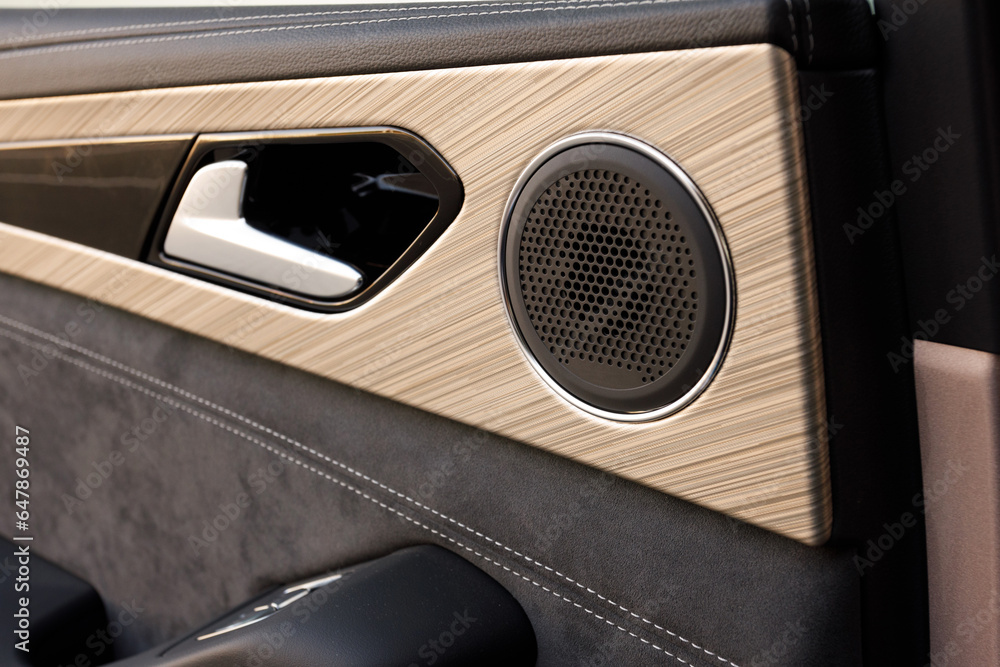 high-frequency car speaker in the car door. The concept of good and high-quality music in the car