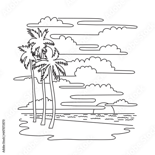 Mono line illustration of palm trees in Hollywood Beach located between Fort Lauderdale and Miami Beach in South Florida, USA  done in monoline line art black and white style.
