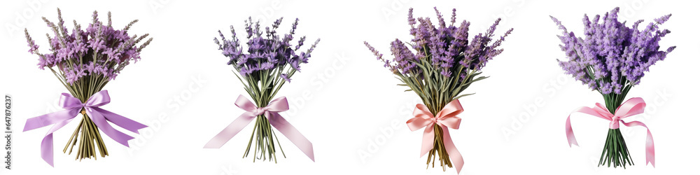 Png Set Isolated lavender flowers with bow on a transparent background Medical herbs Floral bouquet pattern Flat lay Png Set Isolated lavender flowers with bow on a transparent background Medical herbs Floral bouquet pattern Flat lay