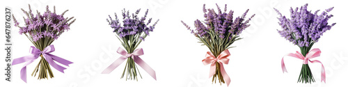 Png Set Isolated lavender flowers with bow on a transparent background Medical herbs Floral bouquet pattern Flat lay