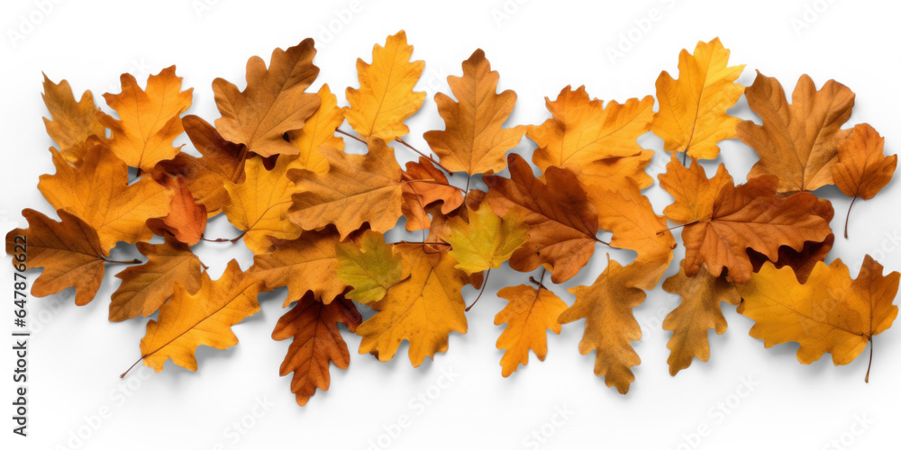 Fototapeta premium scattered pile of autumn dry brown oak leaves with shadow, png file of isolated cutout object on transparent background.