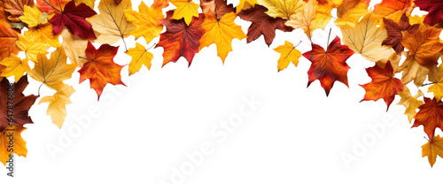 Frame of scattered autumn dry red-orange maple leaves  png file of isolated cutout object on transparent background.