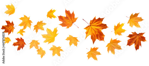 Flying autumn dry red orange maple leaves, png file of isolated cutout object on transparent background.
