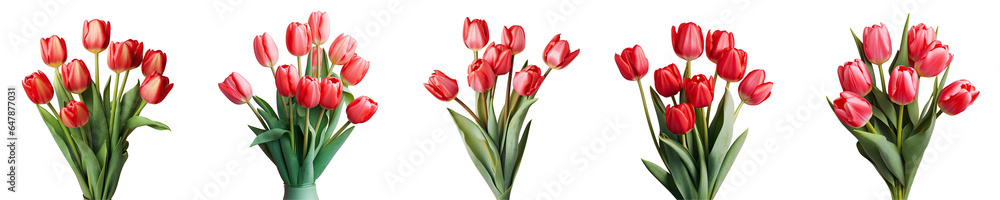 Png Set A bouquet of red tulips on a transparent background