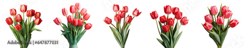 Png Set A bouquet of red tulips on a transparent background © 2rogan