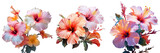 Png Set Hibiscus flowers are stunning and vibrant transparent background