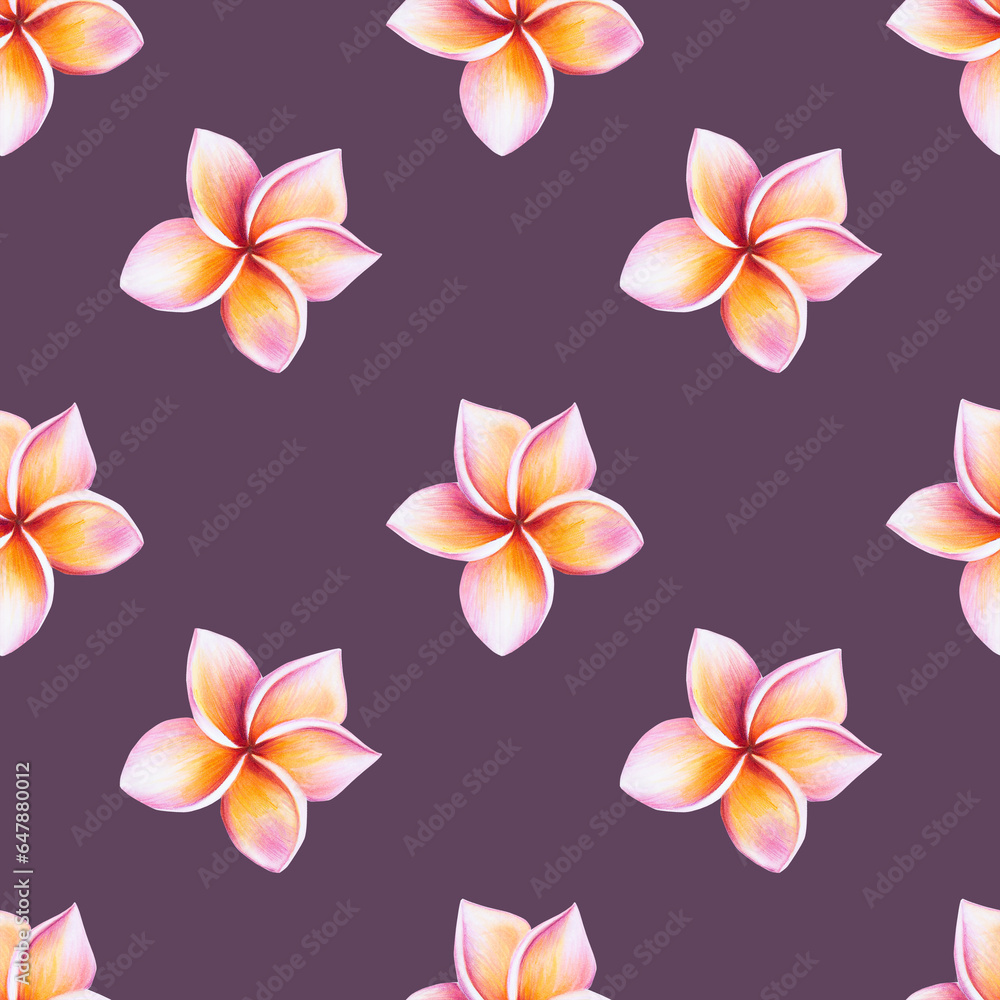 Watercolor seamless pattern with realistic tropical illustration of plumeria flowers with leaves isolated on white background. Beautiful botanical hand painted frangipani clip art. For designe