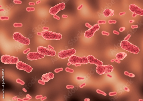 Porphyromonas gingivalis is a bacillus-shaped bacterium that is found in the oral cavity and is associated with some types of periodontitis
