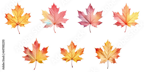 Png Set Maple leaf in vibrant colors against transparent background
