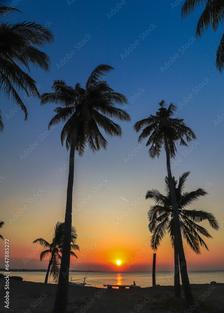 Obraz premium beach with sunset in the afternoon, beach with coconut trees, java indonesia