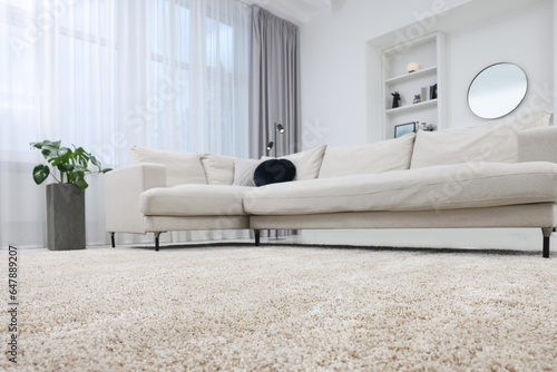 Fluffy carpet and stylish furniture on floor indoors, low angle view