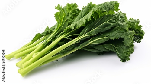 Generate a lifelike picture of a bundle of green kale leaves on an isolated white surface.