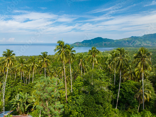 Topical landscape with rainforest and blue sea. Blue sky and clouds. Mindanao, Philippines.