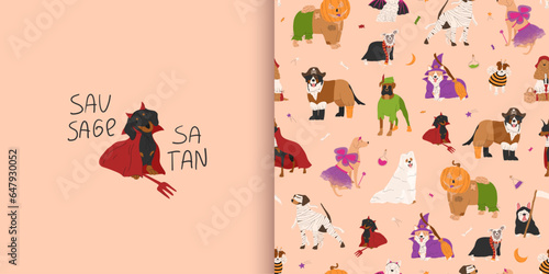 Halloween seamless pattern with dogs in cute halloween costumes. Funny greeting card with dachshund in devil or satan Halloween costume. Vector illustration. Trick or treat. Ideal for holiday cards