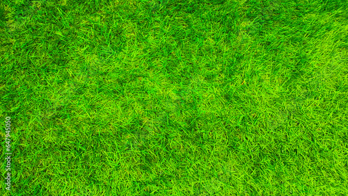 Green grass lawn, bird's eye view.