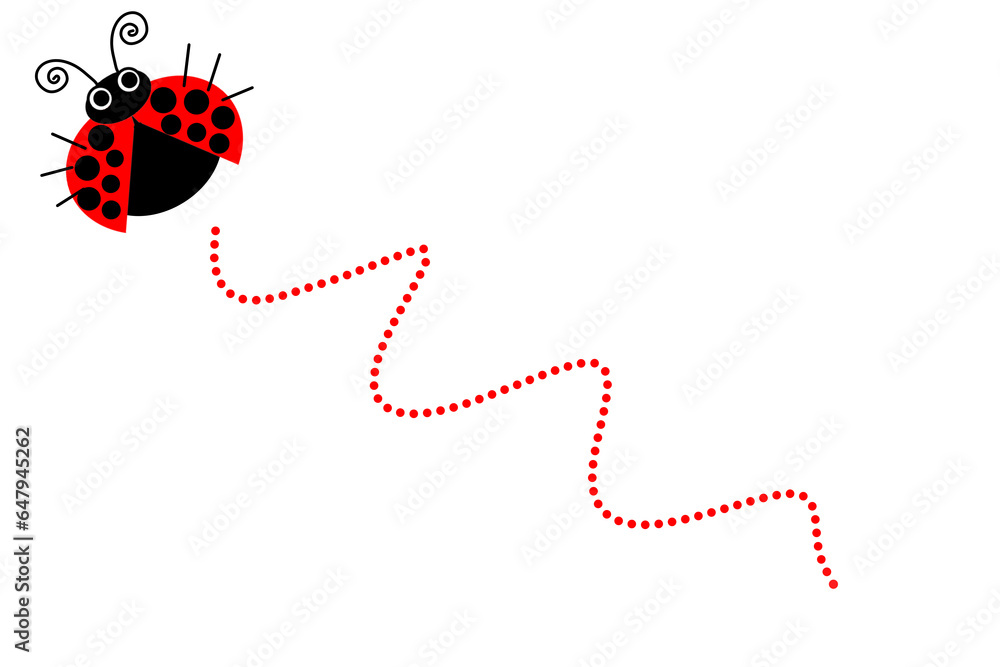 ladybug on white background ladybug on white background