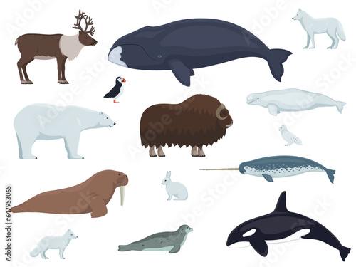 Set of arctic animals. Vector illustration set of different colored polar arctic animals isolated on white. Side view, flat design.