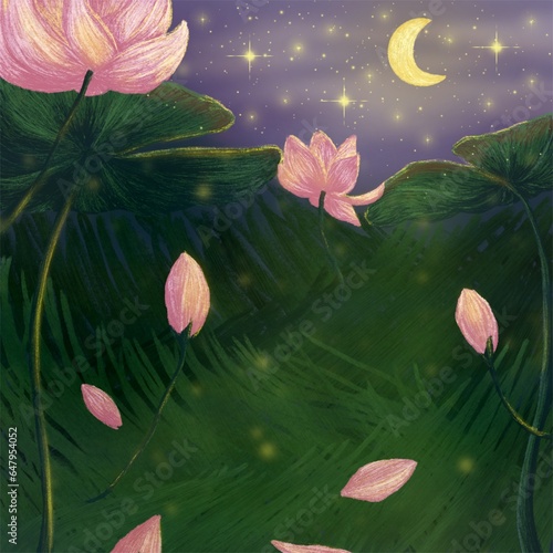 water lotus in the pond at night