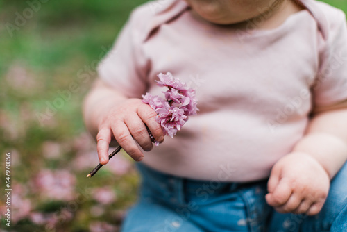 Chubby Baby Girl Fingers Hold Beautiful Cherry Blossom Branch Co photo