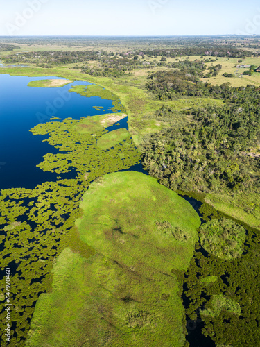 Beautiful aerial view to lake and green floating vegetation