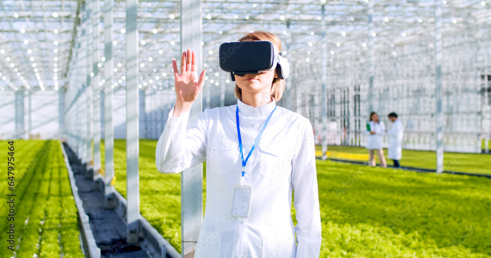 Young female worker using VR headset for automatic control cultivation process. New generation farmer managing virtual agronomy hologram and changing temperature at modern greenhouse. Young female worker using VR headset for automatic control cultivation process. New generation farmer managing virtual agronomy hologram and changing temperature at modern greenhouse.