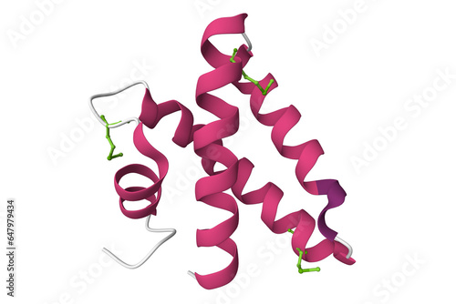 Photography Crystal structure of human saposin A