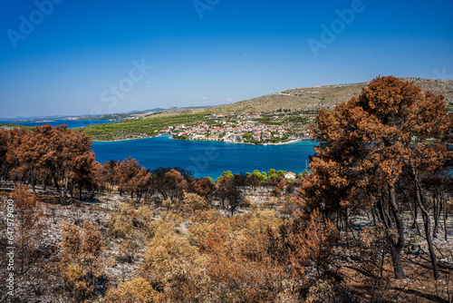 Wybrzeże Adriatyku w Chorwacji okolice Szybernik z wypalonymi drzewami po pożarze.