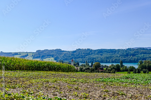 Aesch, Hallwilersee, See, Seeufer, Seeuferweg, Seerundfahrt, Naturschutzgebiet, Felder, Landwirtschaft, Dorf, Meisterschwanden, Schifffahrt, Alpen, Berge, Aargau, Sommer, Schweiz photo