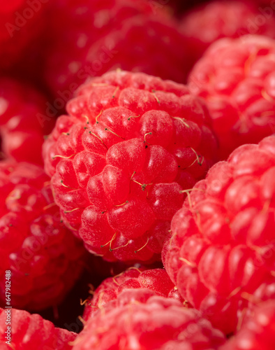 Red ripe raspberries as a background. Close-up
