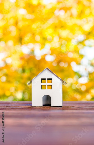 House symbol on a background of yellow autumn leaves
