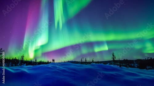 Northern Lights over the forest. Aurora borealis with starry in the night sky. Snow on the ground. © AI Studio